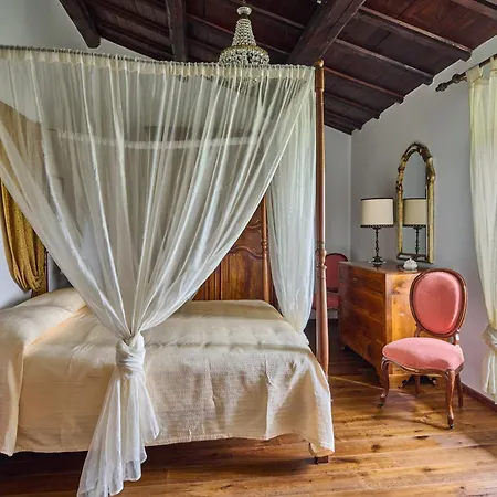 Madona Del Giglio By Mmega *